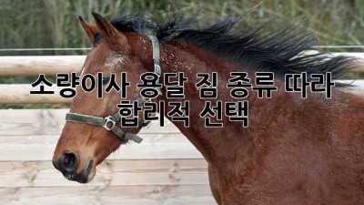 소량이사🚚 용달? 짐 종류 따라 합리적 선택!💰